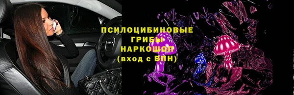 винт Богородицк