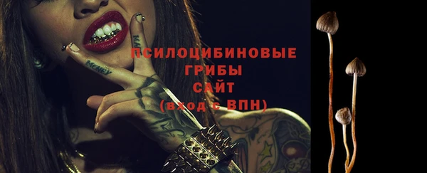 СК Богданович