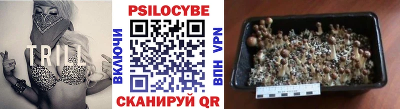 Псилоцибиновые грибы Magic Shrooms  где купить наркоту  Кольчугино 